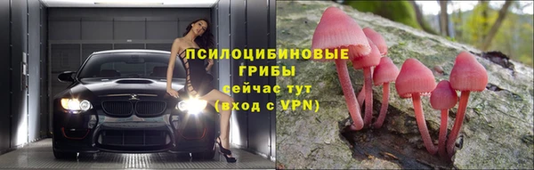 ALPHA PVP Лихославль