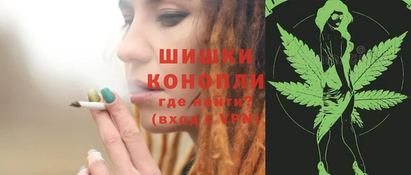 прущие грибы Лиски