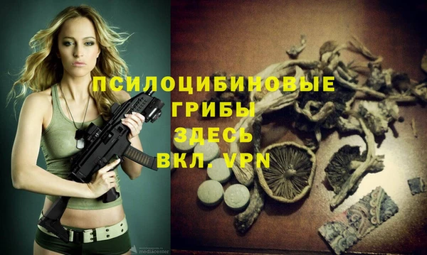 ALPHA PVP Лихославль