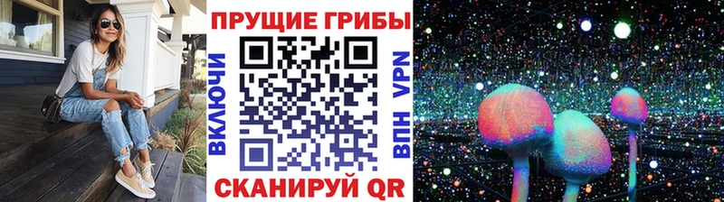 Купить  Котлас  Галлюциногенные грибы Magic Shrooms 