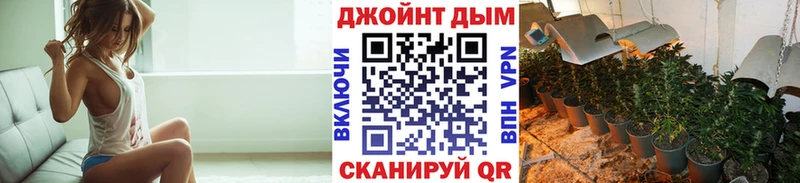 Купить где  Котлас  МАРИХУАНА индика 